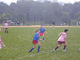 Click to see P9230078.JPG